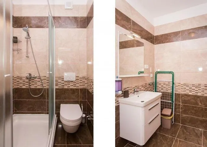 Ari Ντουμπρόβνικ